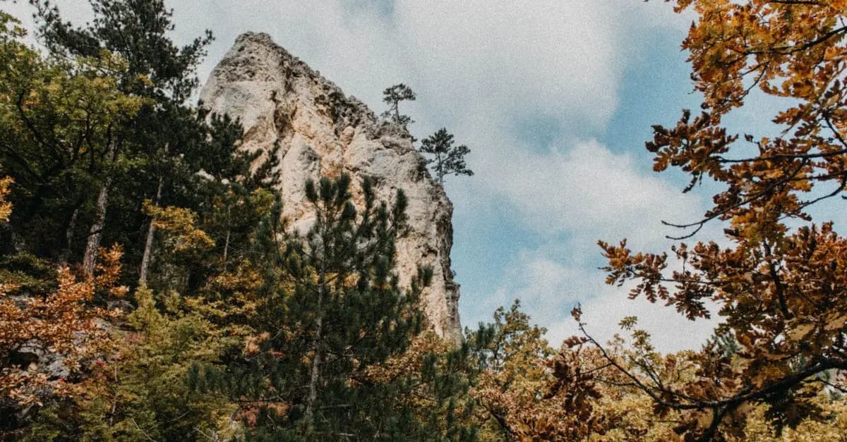Top Nature Parks: A Comprehensive Buying Guide