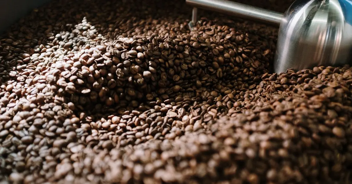 Le Top des Machines Expresso à Grains