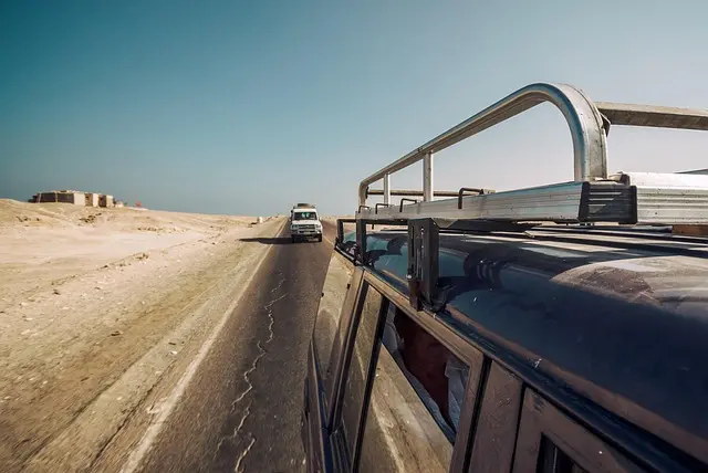 Essential Guide to Safari Adventures: Make the Right Choice