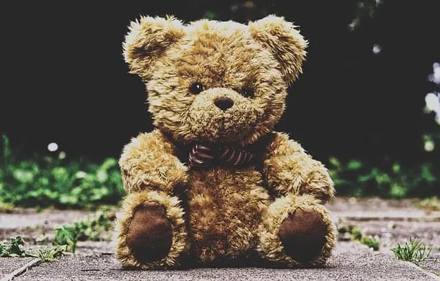 Guide d'achat sur les langues menacées pour enfants