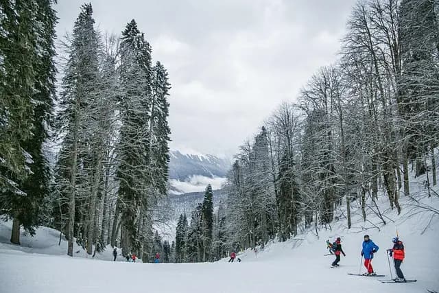Best Ski Resorts for Beginners - Your Ultimate Guide