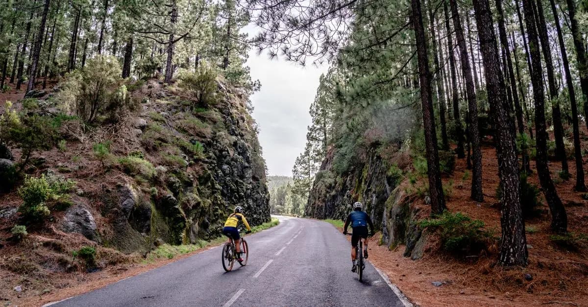 Guía de compra: Mejores bicicletas de montaña