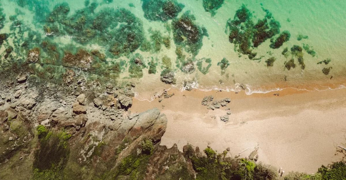 The Ultimate Guide to the Best Beach Retreats