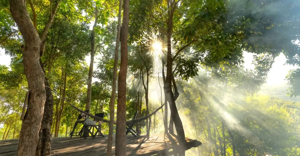 Find Serenity at Top Nature Retreat Spots