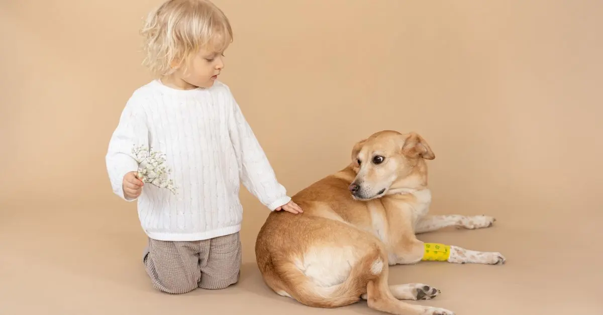 Errores comunes al cuidar mascotas y cómo evitarlos