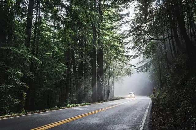 Ultimate Guide to Planning Your Ideal Road Trip