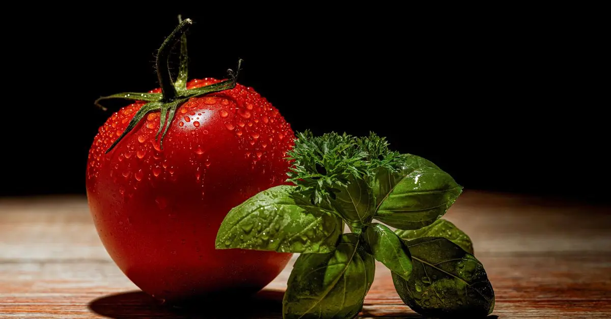 Comment choisir des viandes bio de qualité : guide complet