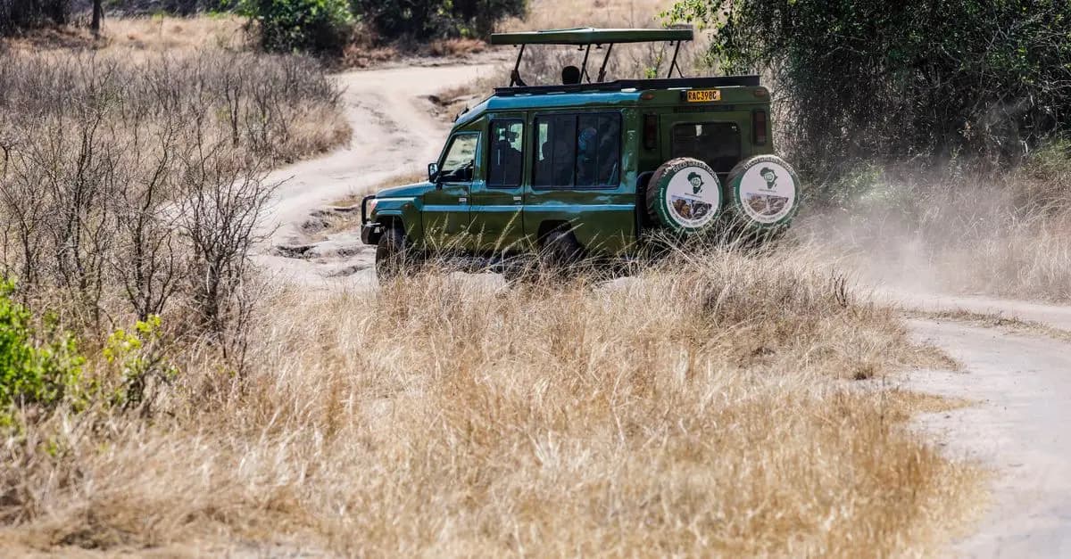Conseils pour un Safari Aventure Réussi